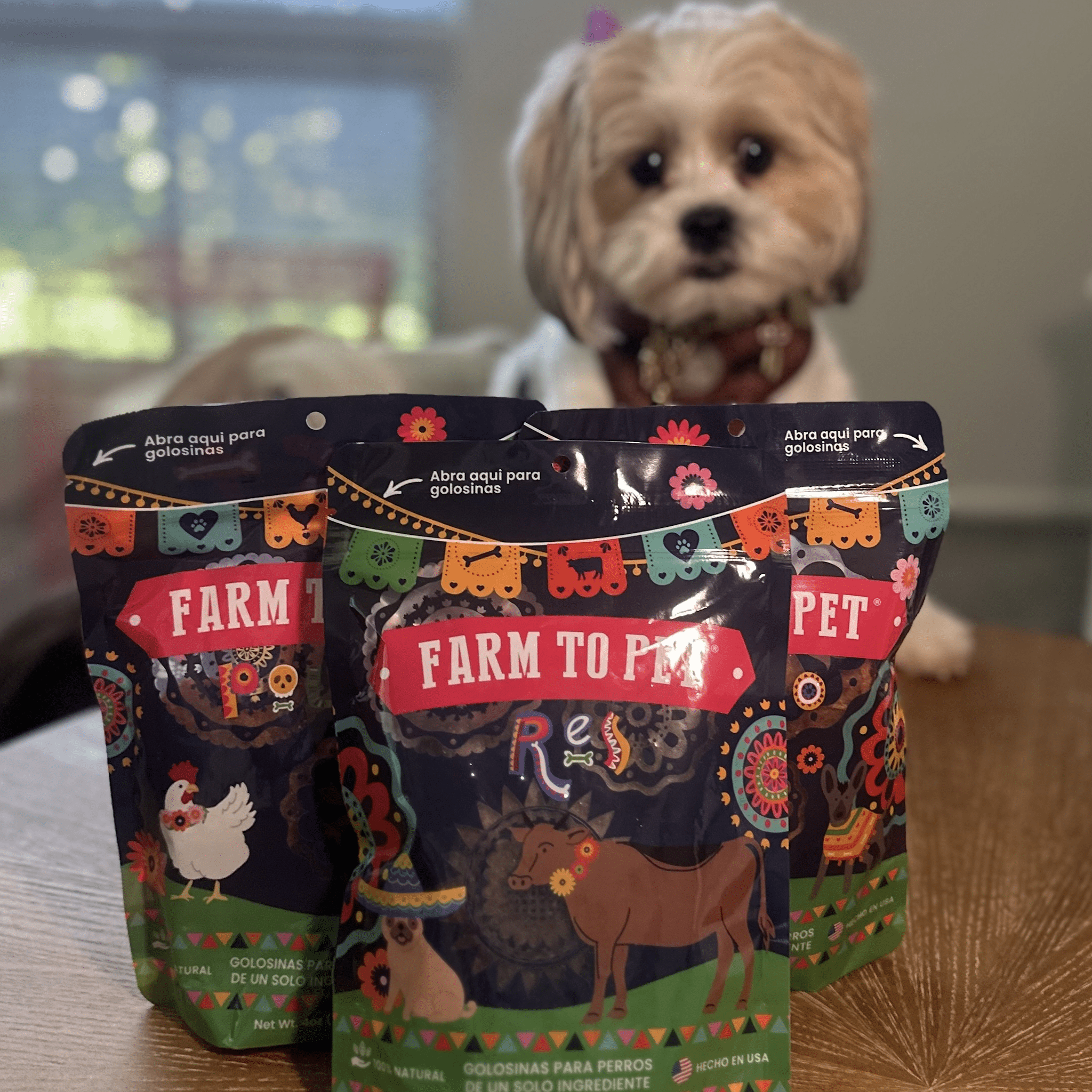 Dog Treat Variety Bundle