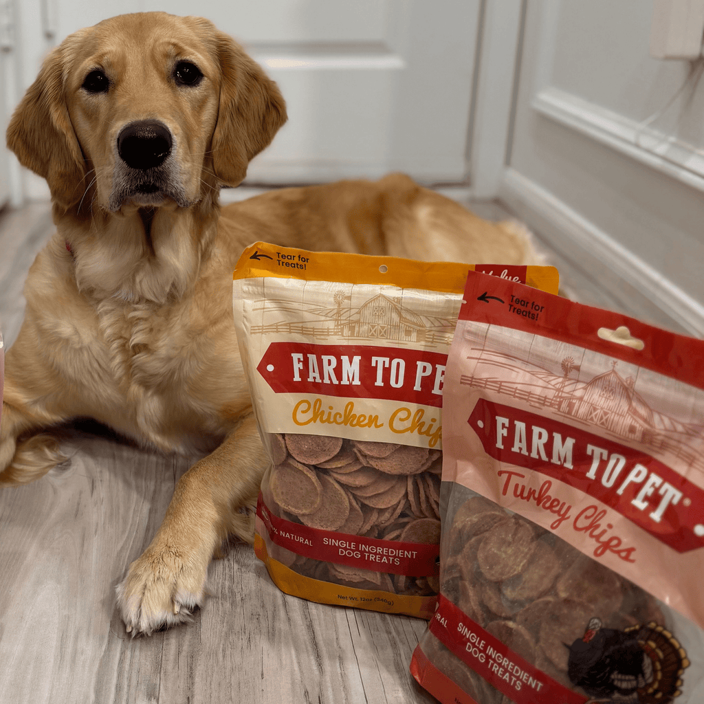Turkey & Chicken Chip Dog Treats