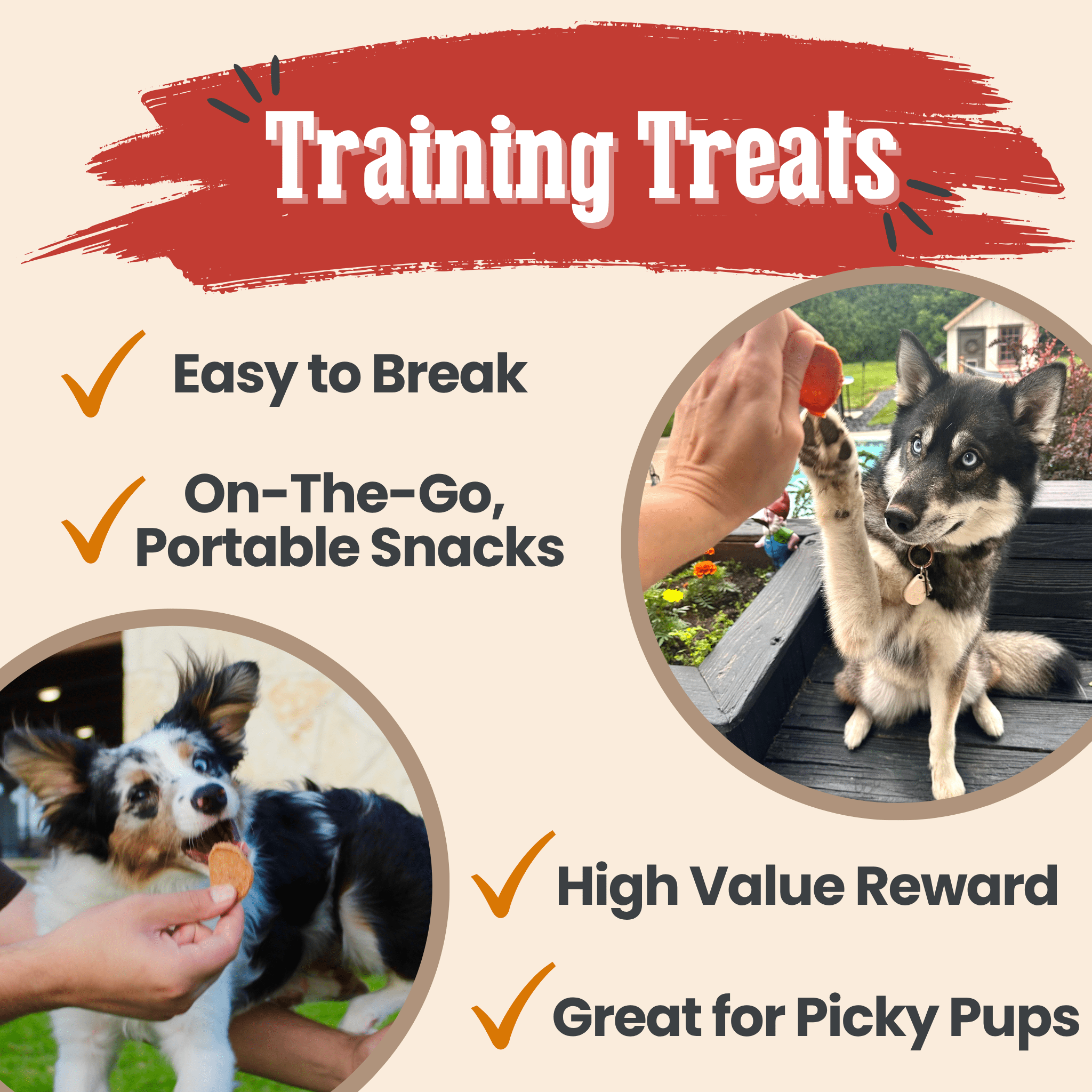 Turkey & Chicken Chip Dog Treats