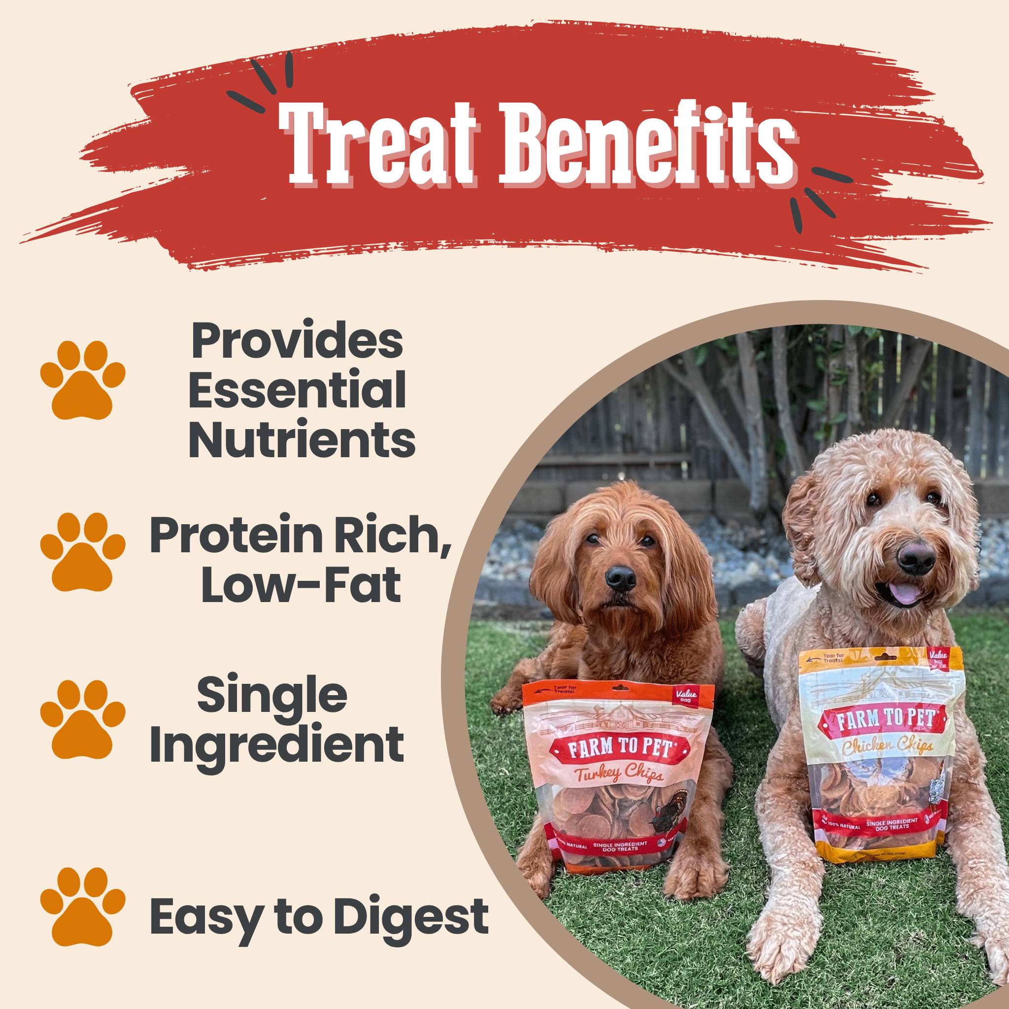 Turkey & Chicken Chip Dog Treats