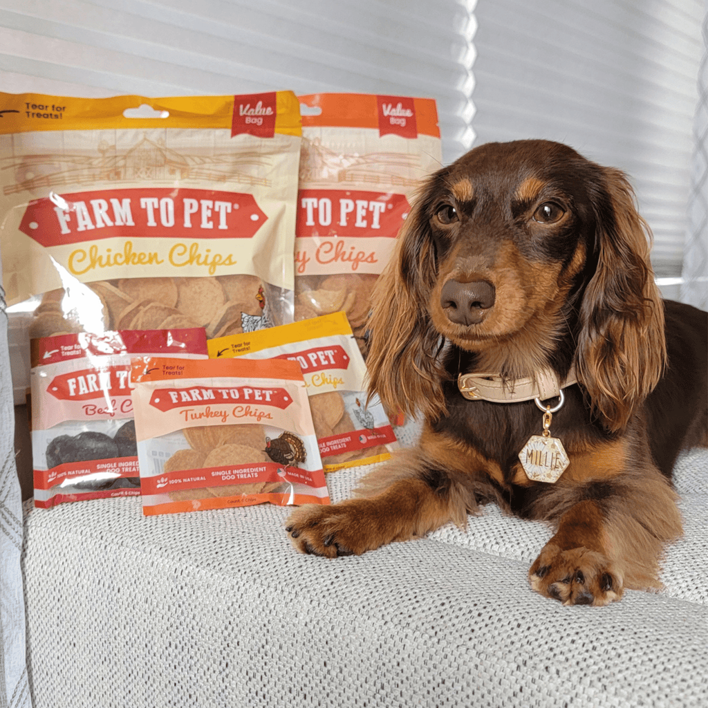 Turkey & Chicken Chip Dog Treats