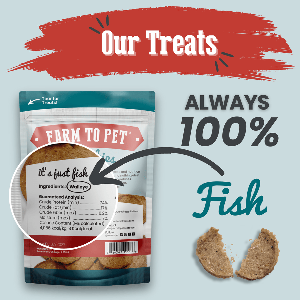 Fish Chips for Dogs