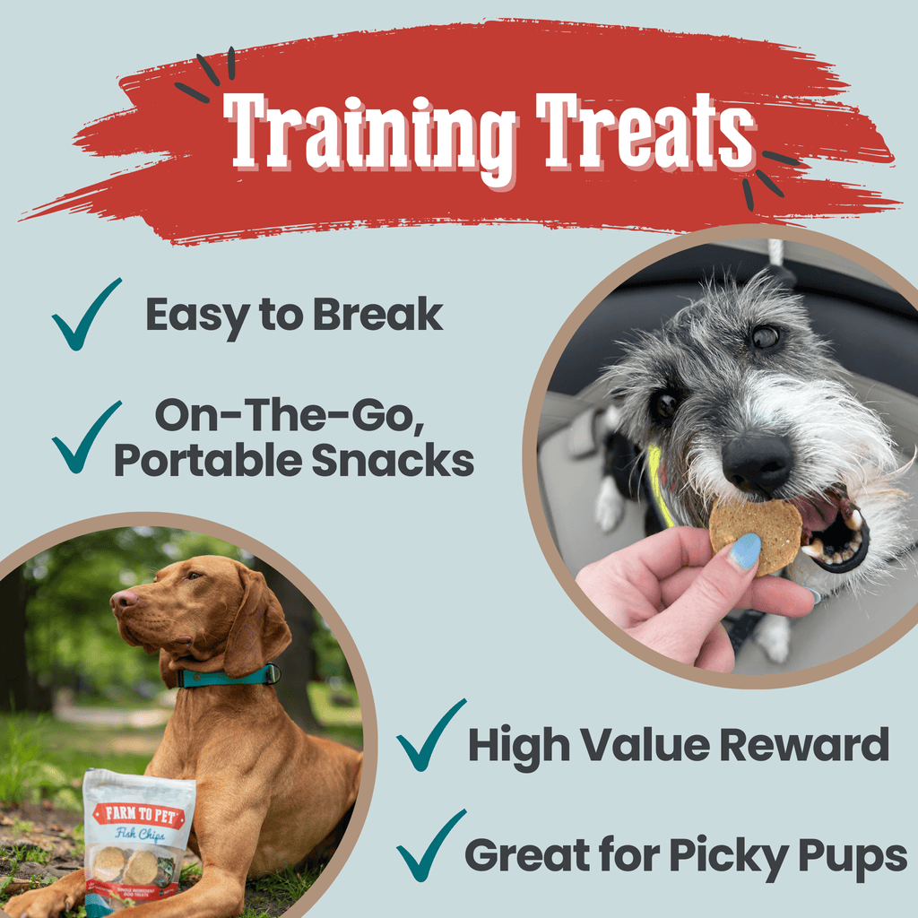 Fish Chips for Dogs
