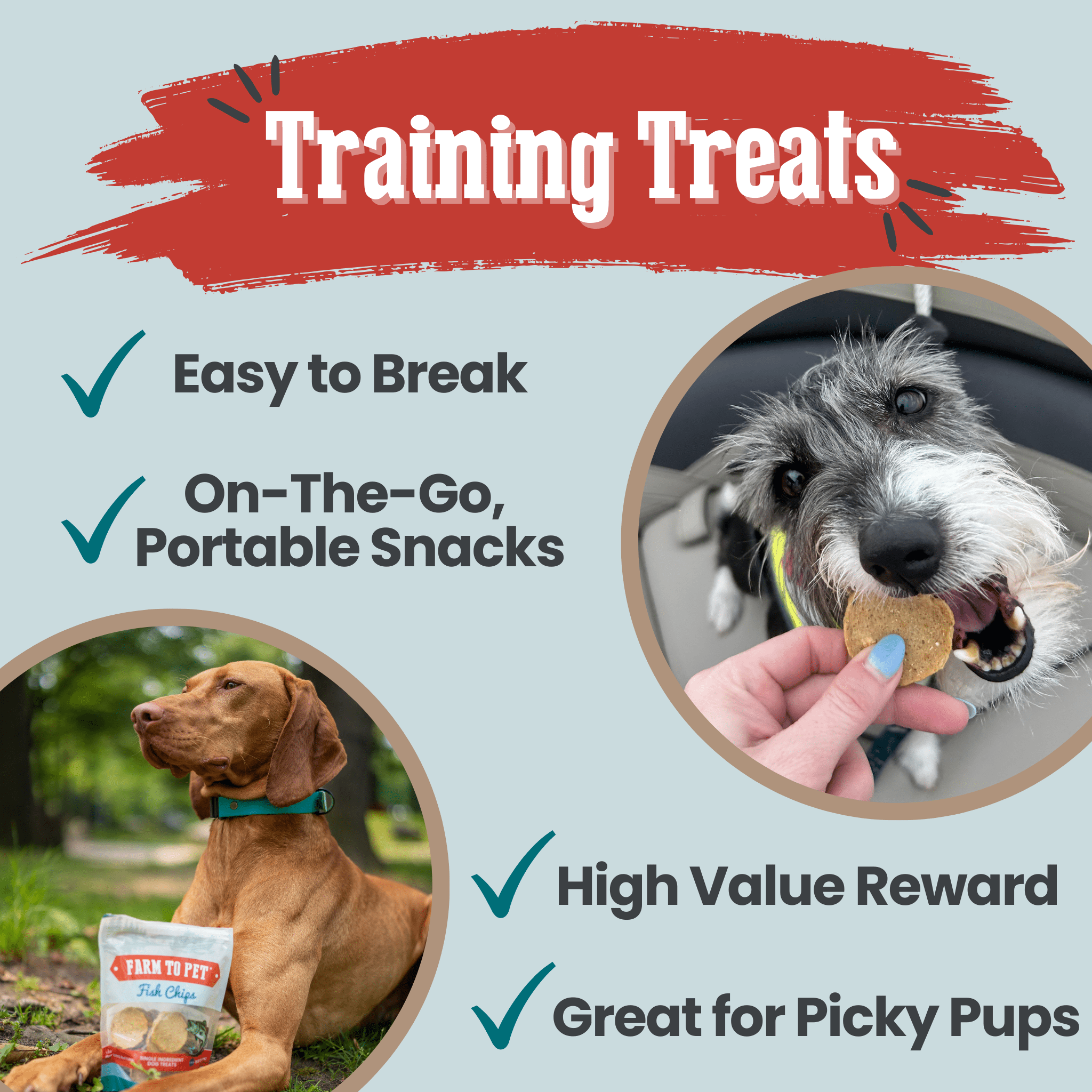Fish Chips for Dogs