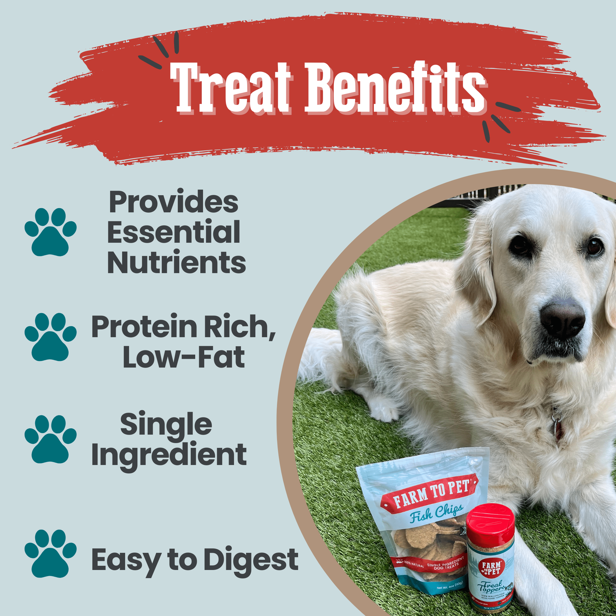 Fish Chips for Dogs