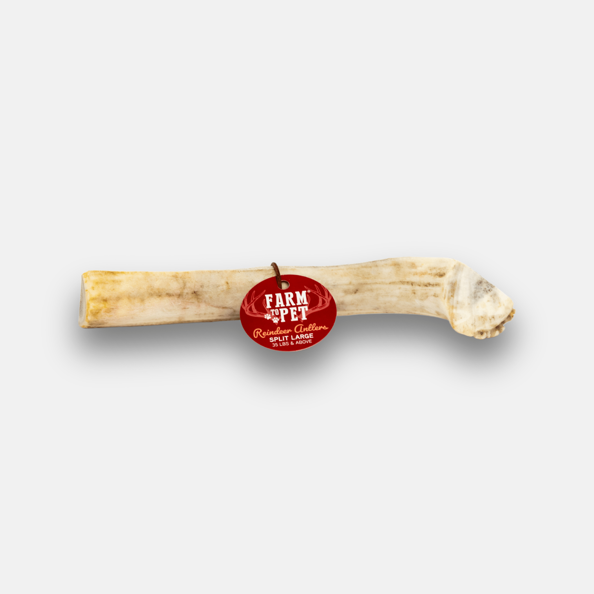 Reindeer Antler Dog Chews