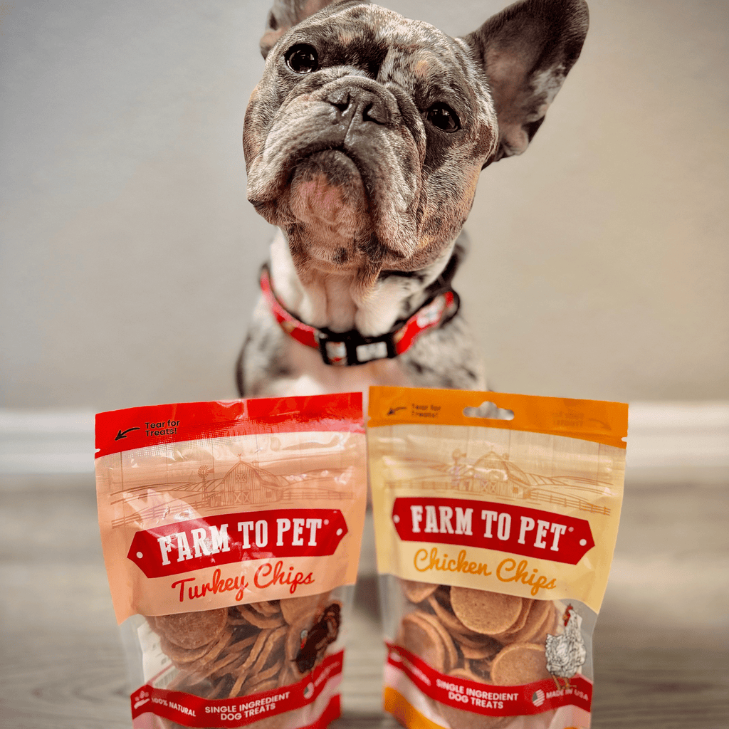 Turkey & Chicken Chip Dog Treats
