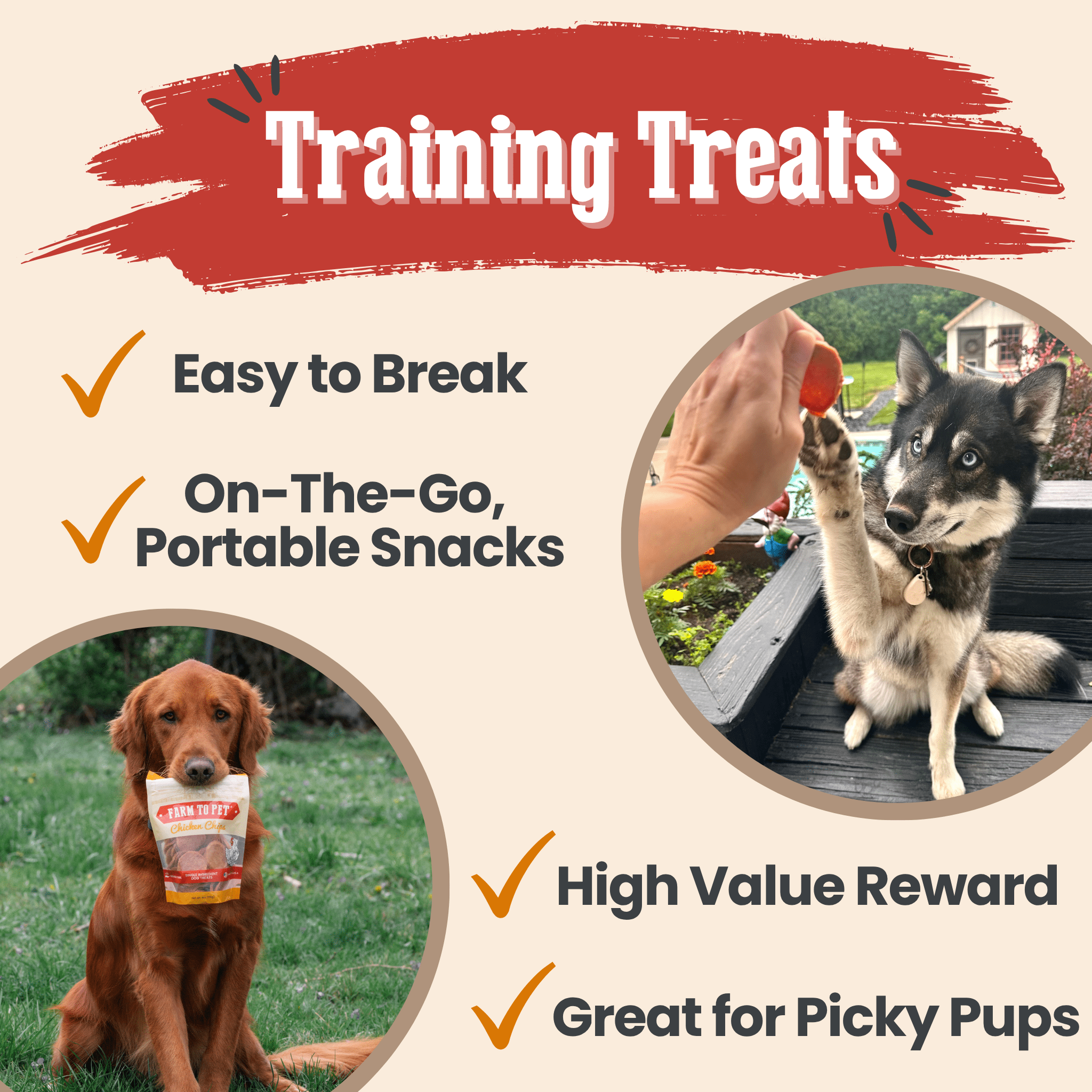Turkey & Chicken Chip Dog Treats