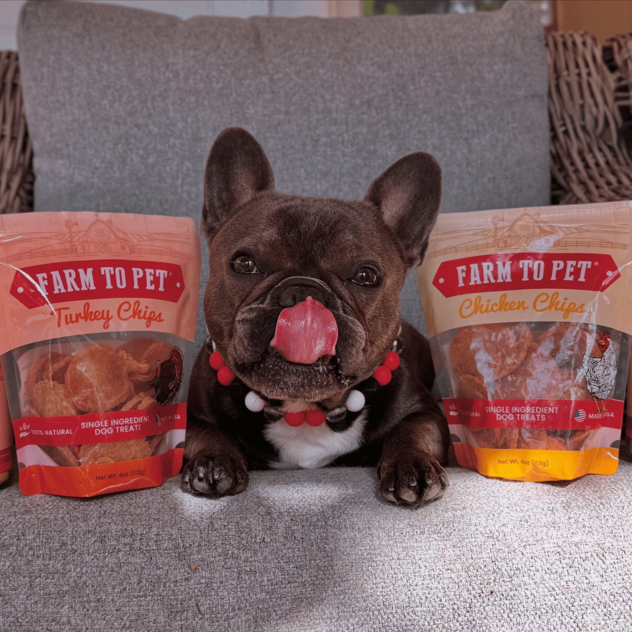 Turkey & Chicken Chip Dog Treats