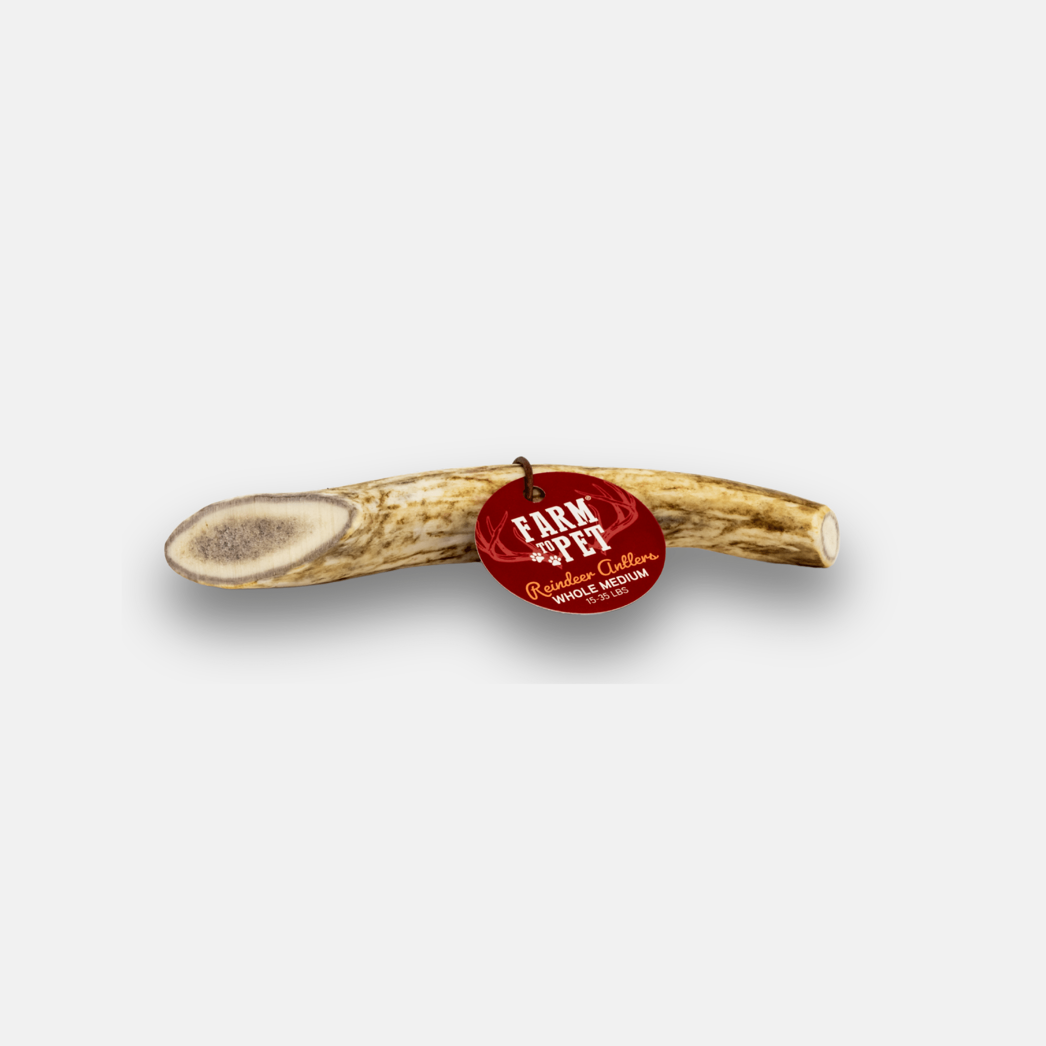 Reindeer Antler Dog Chews