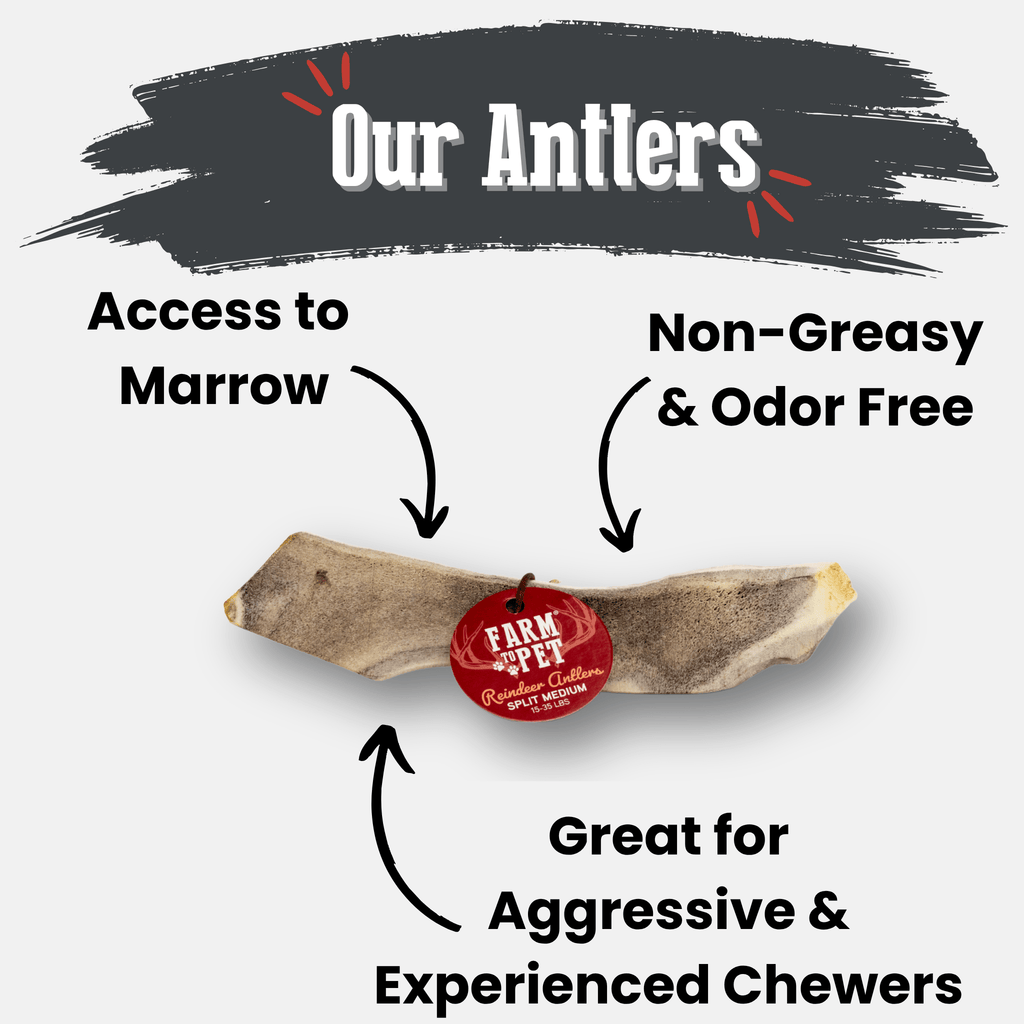 Reindeer Antler Dog Chews