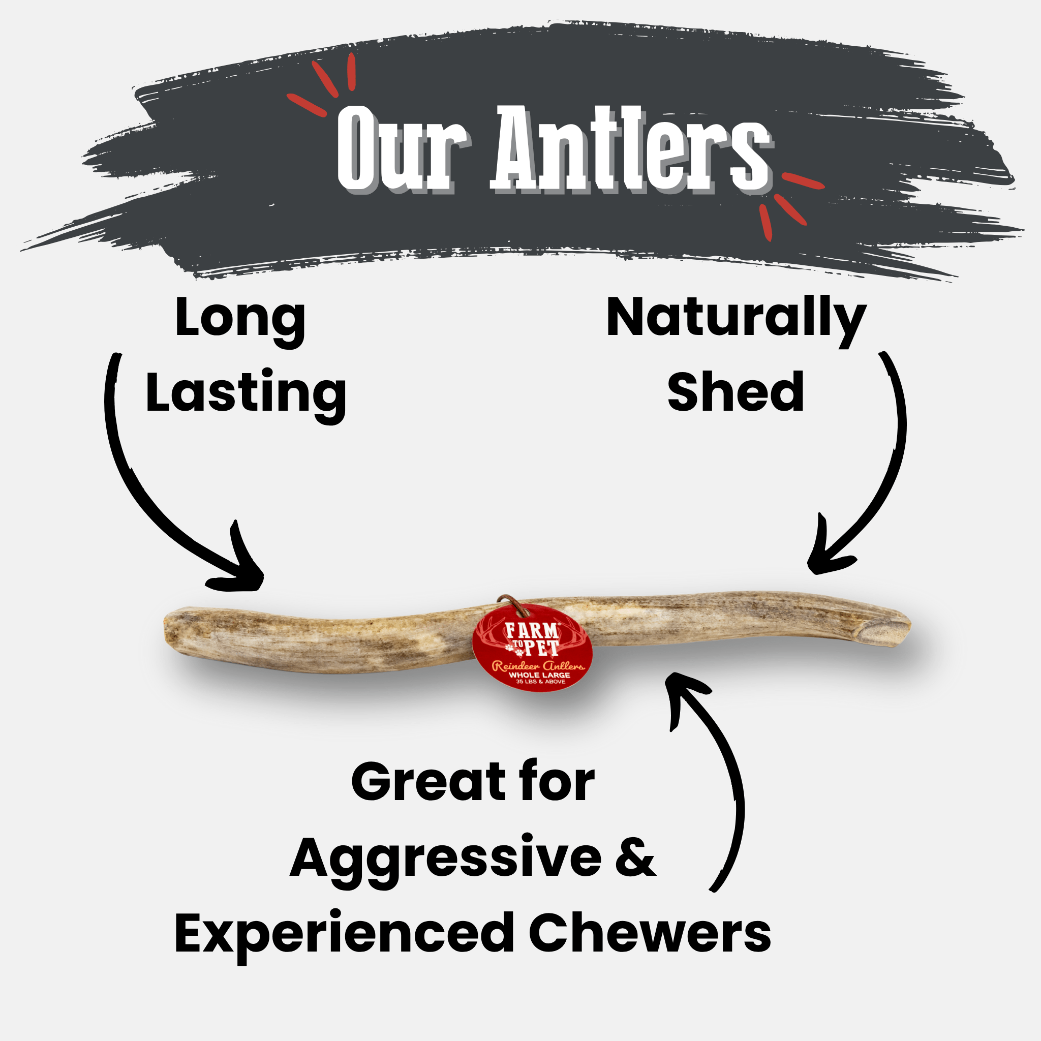 Reindeer Antler Dog Chews