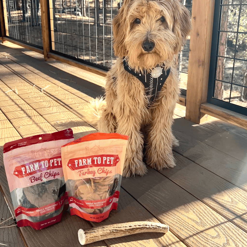 Reindeer Antler Dog Chews