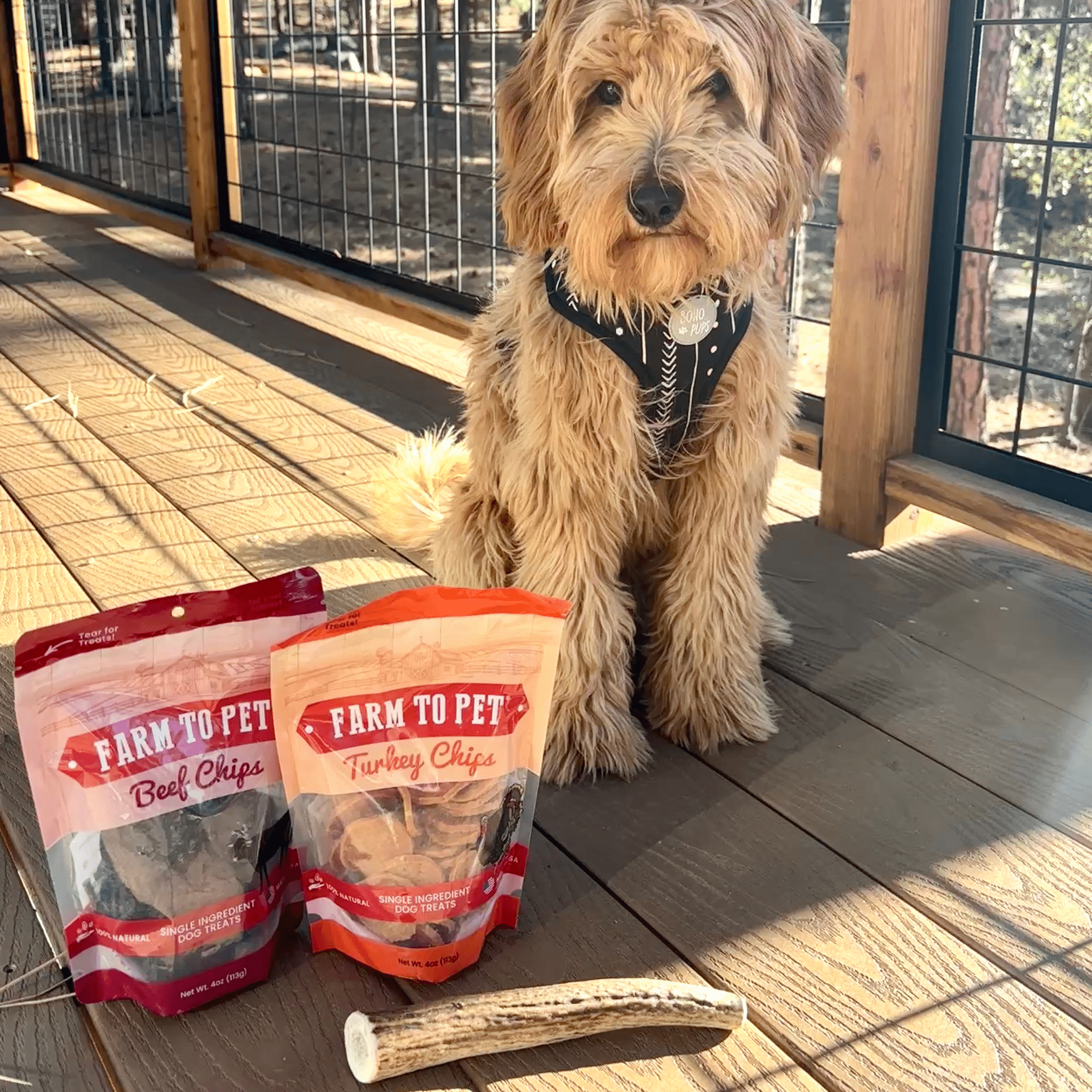 Reindeer Antler Dog Chews