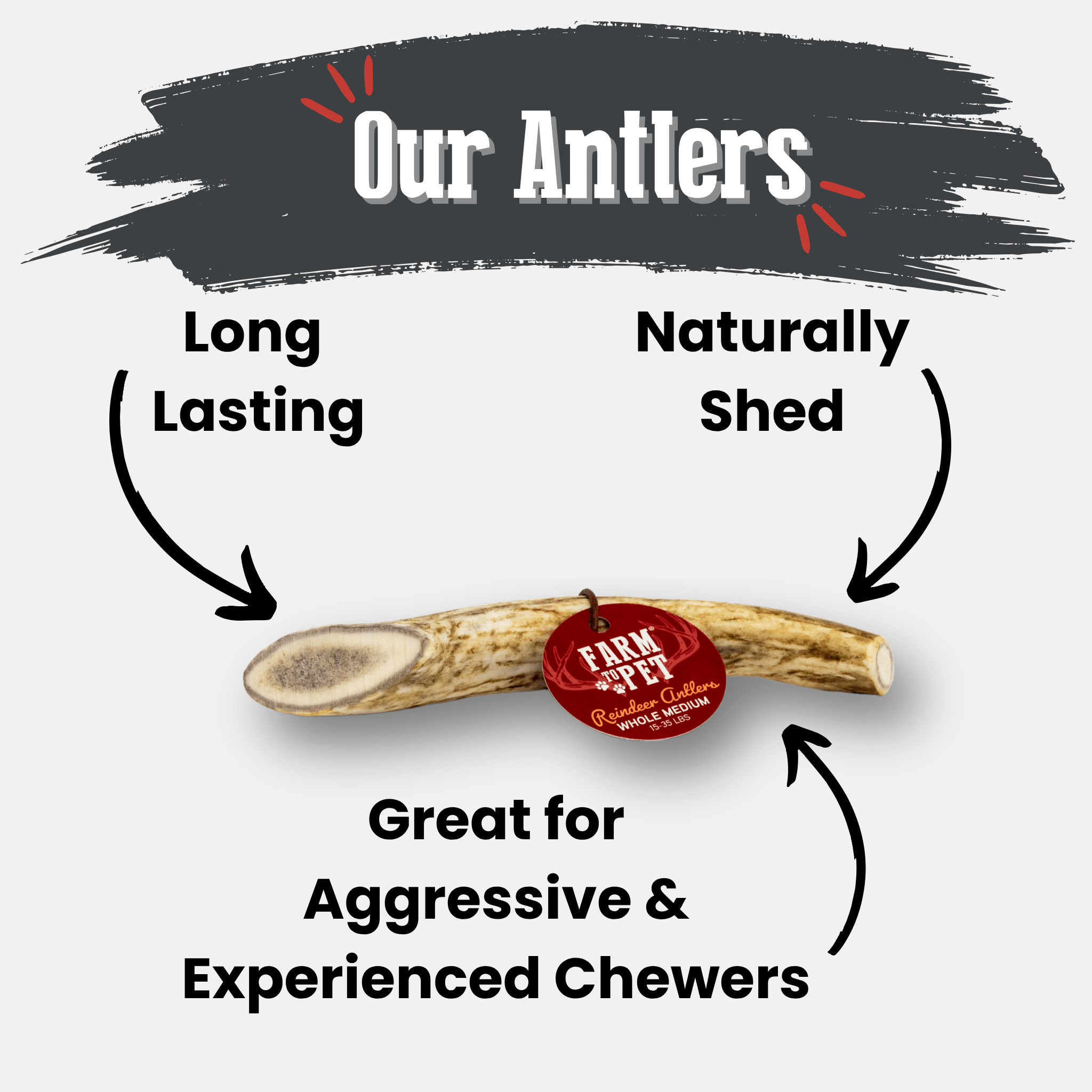 Reindeer Antler Dog Chews