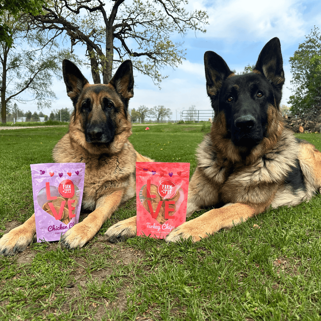 Puppy Poultry Treat Duo