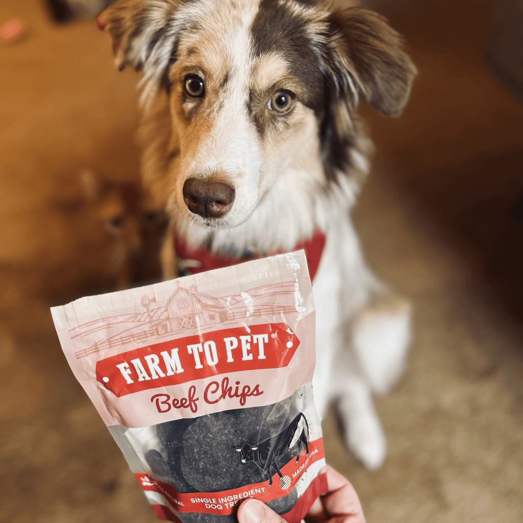 Puppy Treat Starter Pack