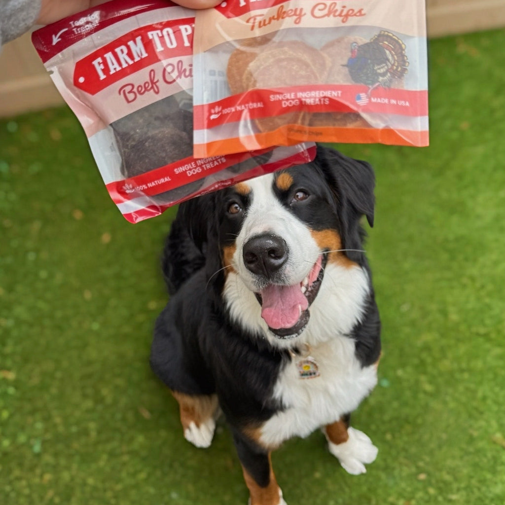 Puppy Treat Starter Pack
