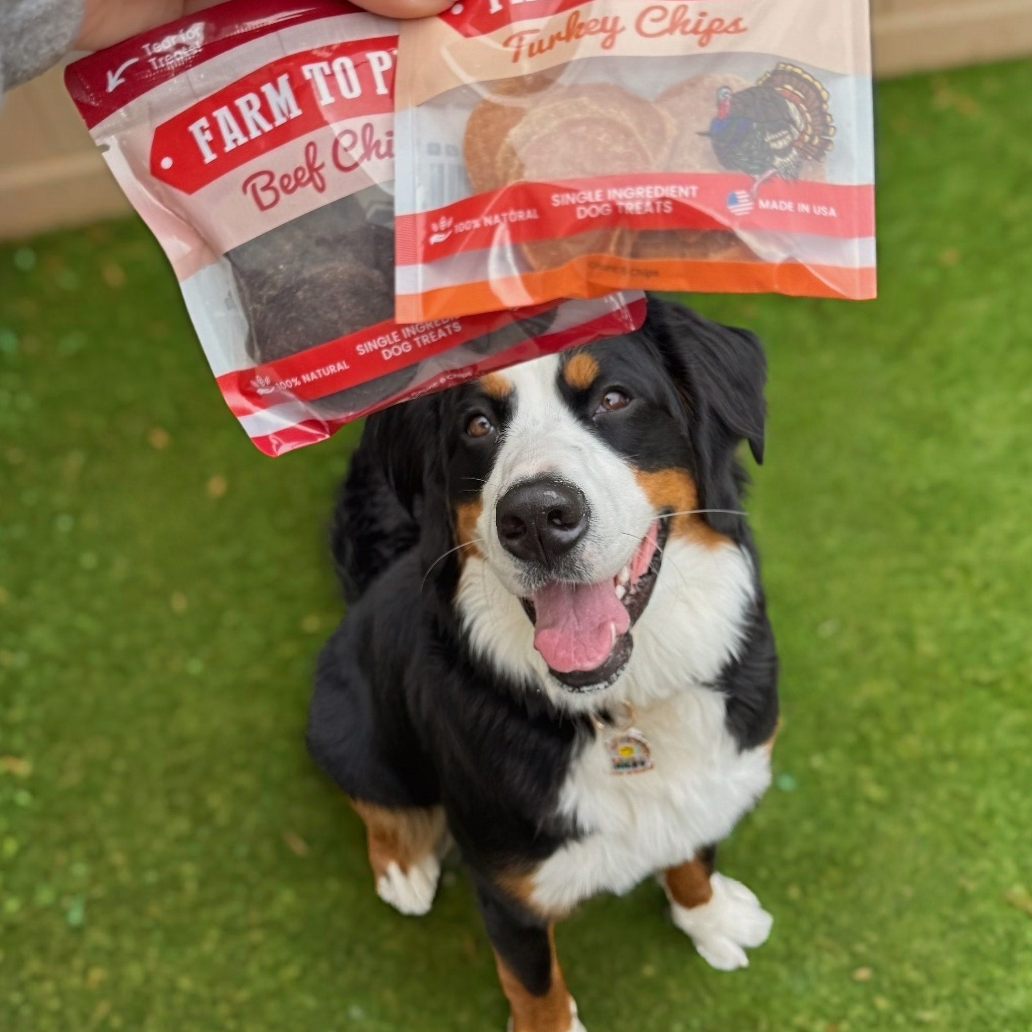 Puppy Treat Starter Pack