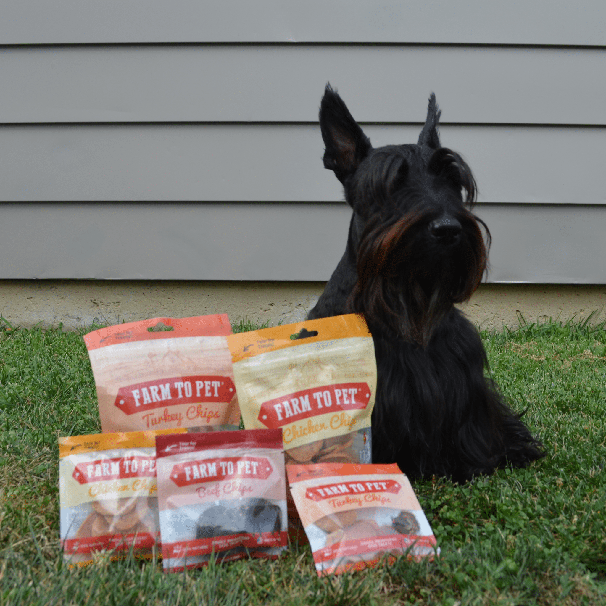 Puppy Treat Starter Pack