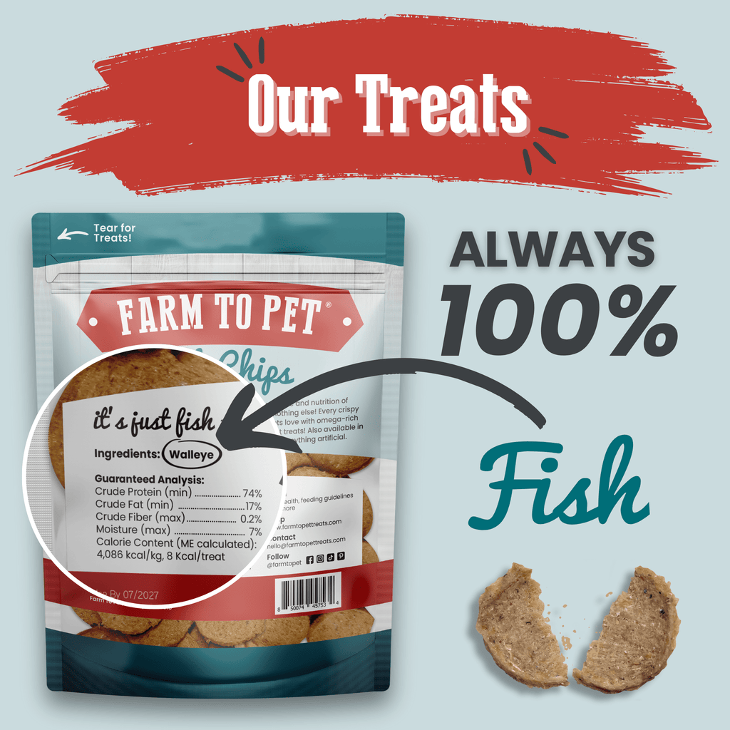 Fish Chips for Dogs