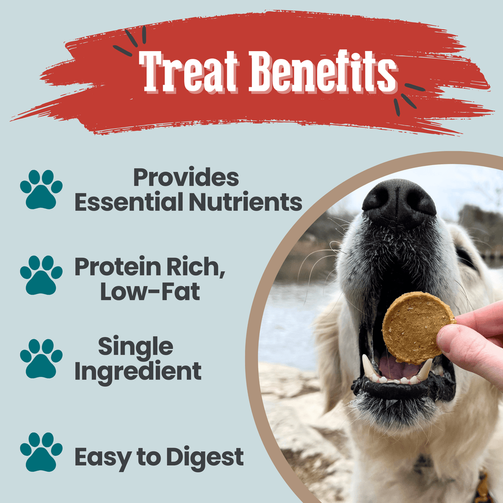 Fish Chips for Dogs