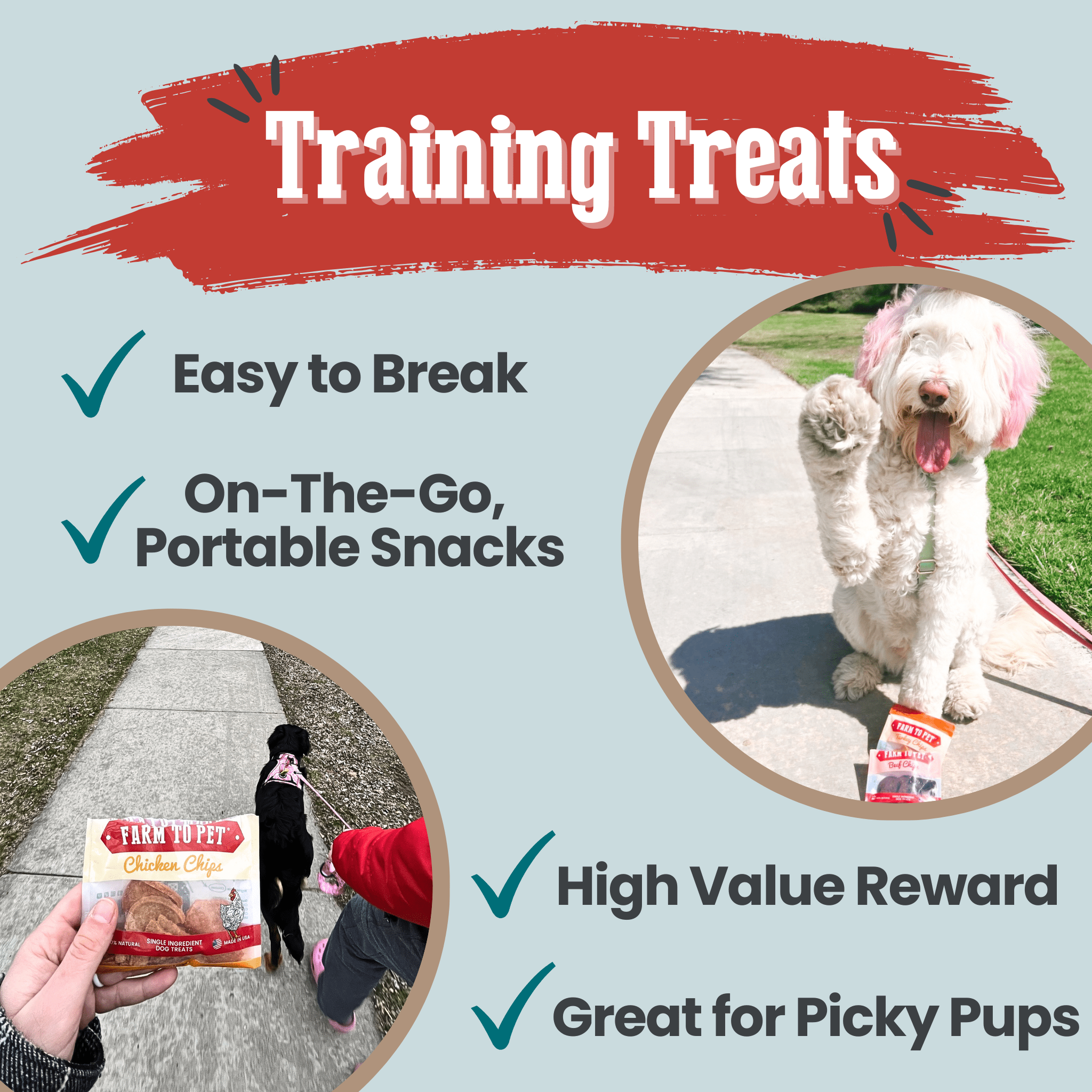 Puppy Treat Starter Pack