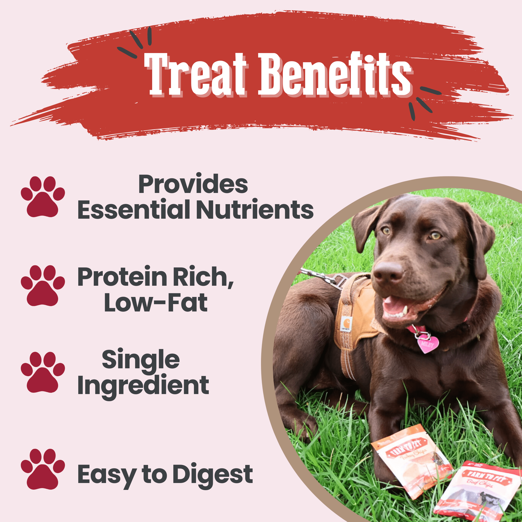 Puppy Treat Starter Pack