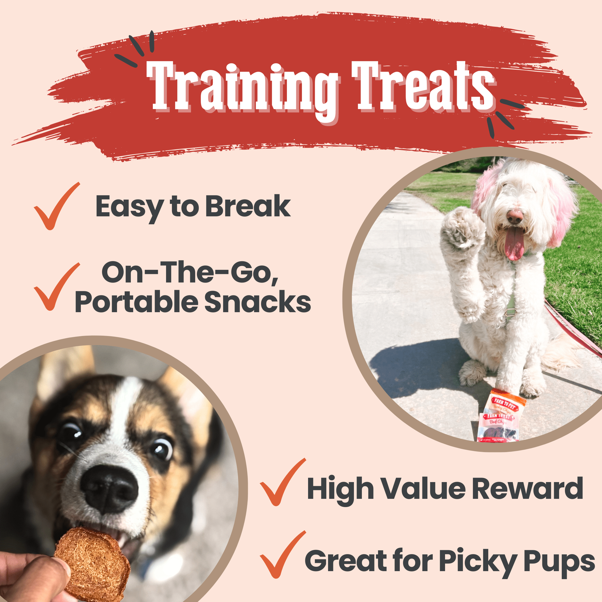 Puppy Treat Starter Pack