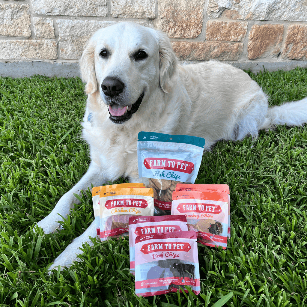 Puppy Treat Starter Pack
