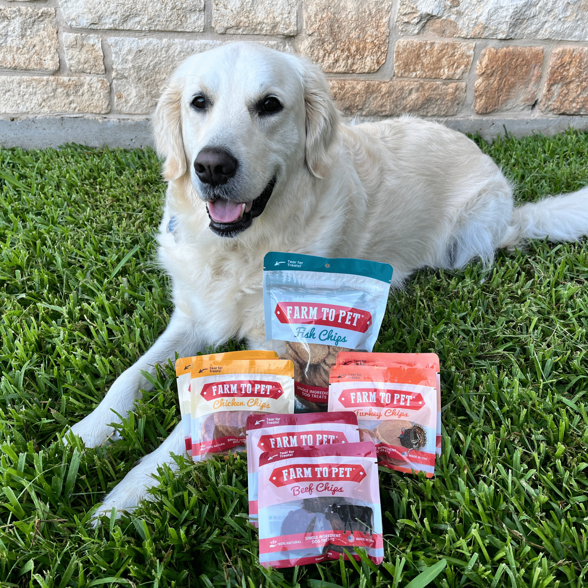 Puppy Treat Starter Pack