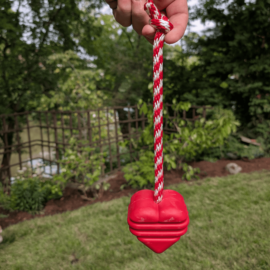 Dog Tug & Chew Toys