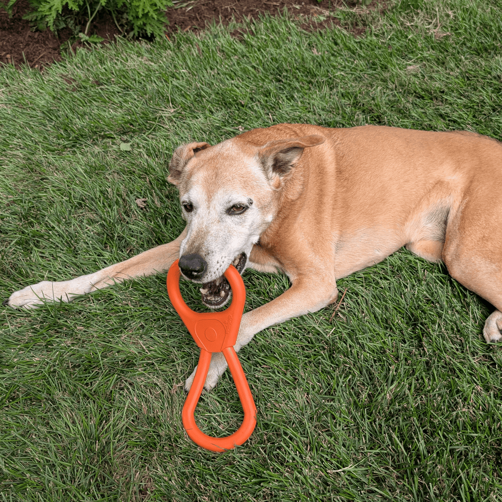 Dog Tug & Chew Toys