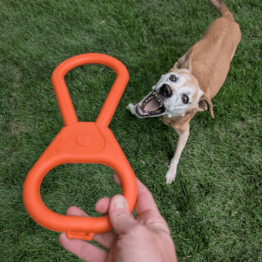 Dog Tug & Chew Toys