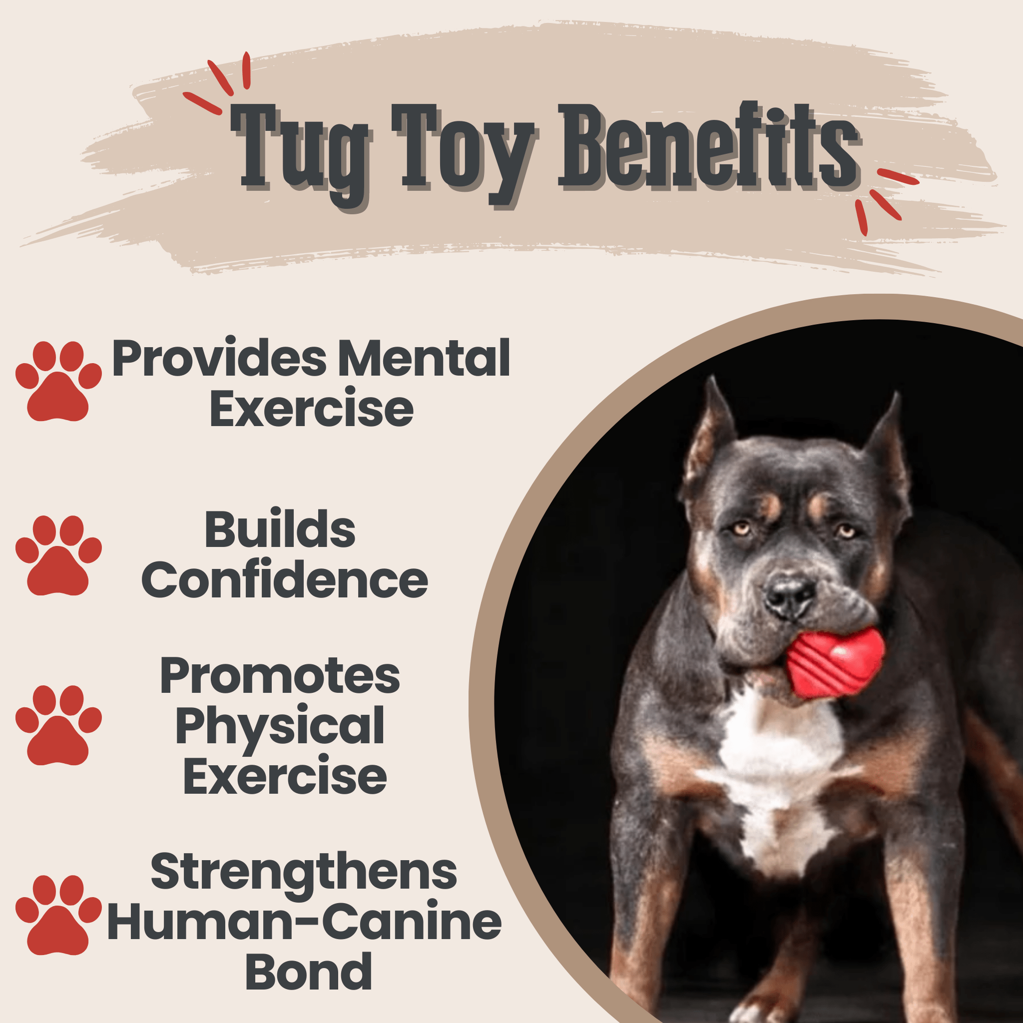 Dog Tug & Chew Toys