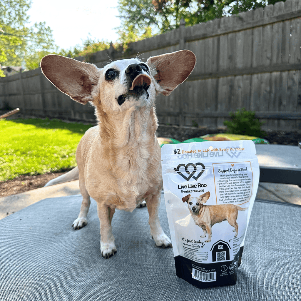 Turkey Chips for Dogs