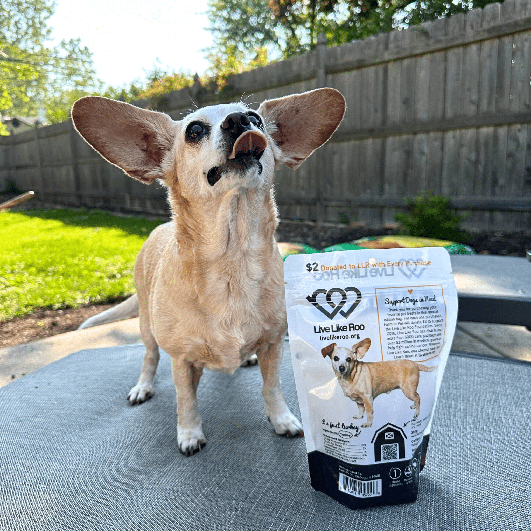 Turkey Chips for Dogs