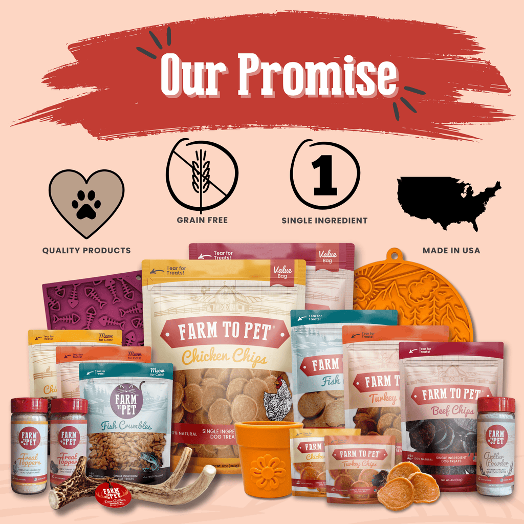 Turkey Chips for Dogs
