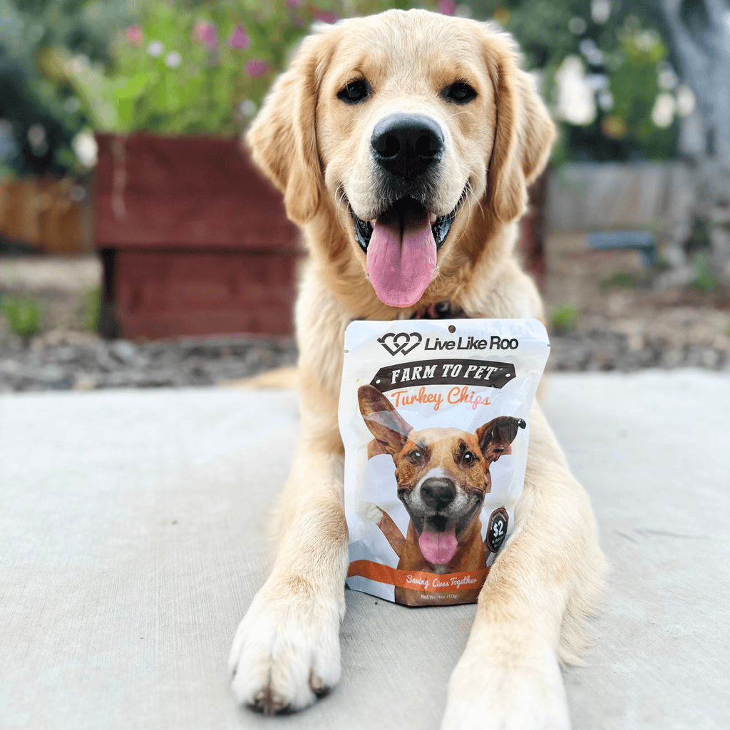 Turkey Chips for Dogs