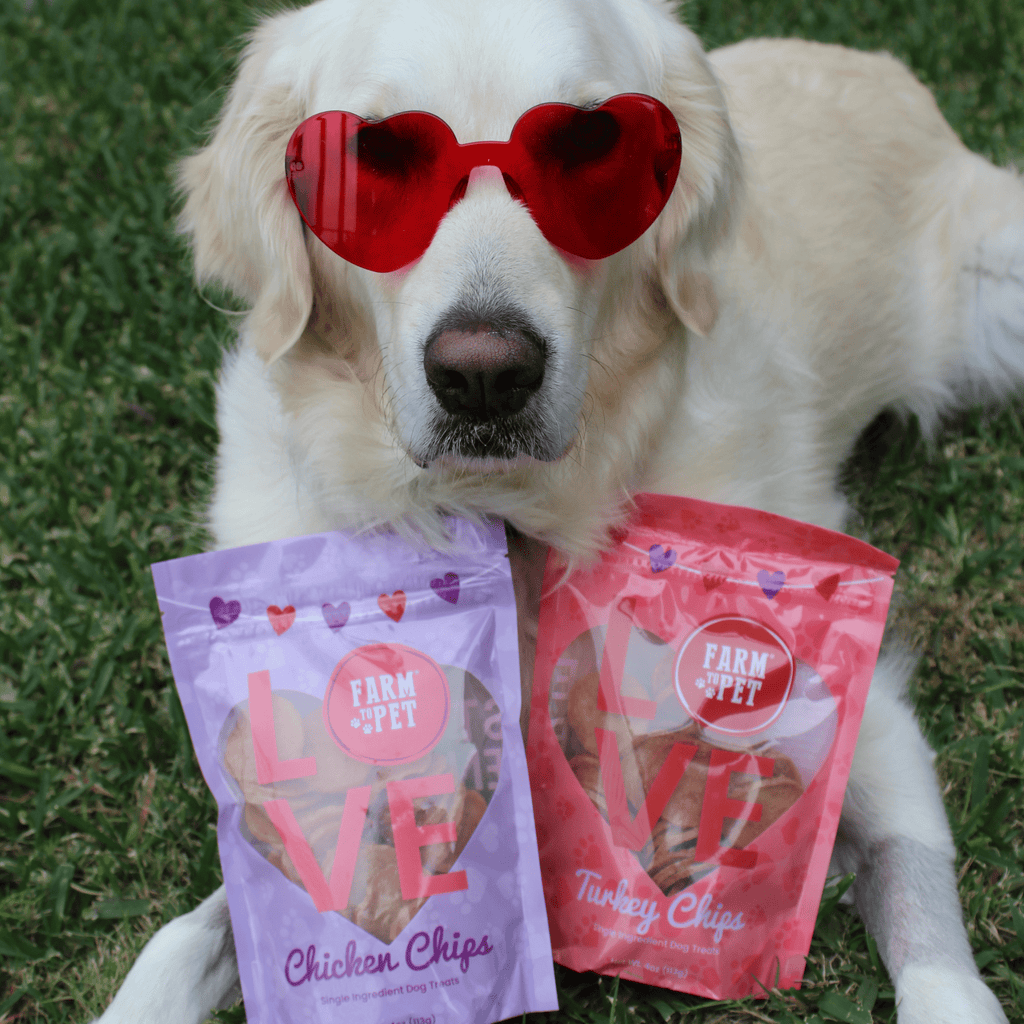 Puppy Poultry Treat Duo