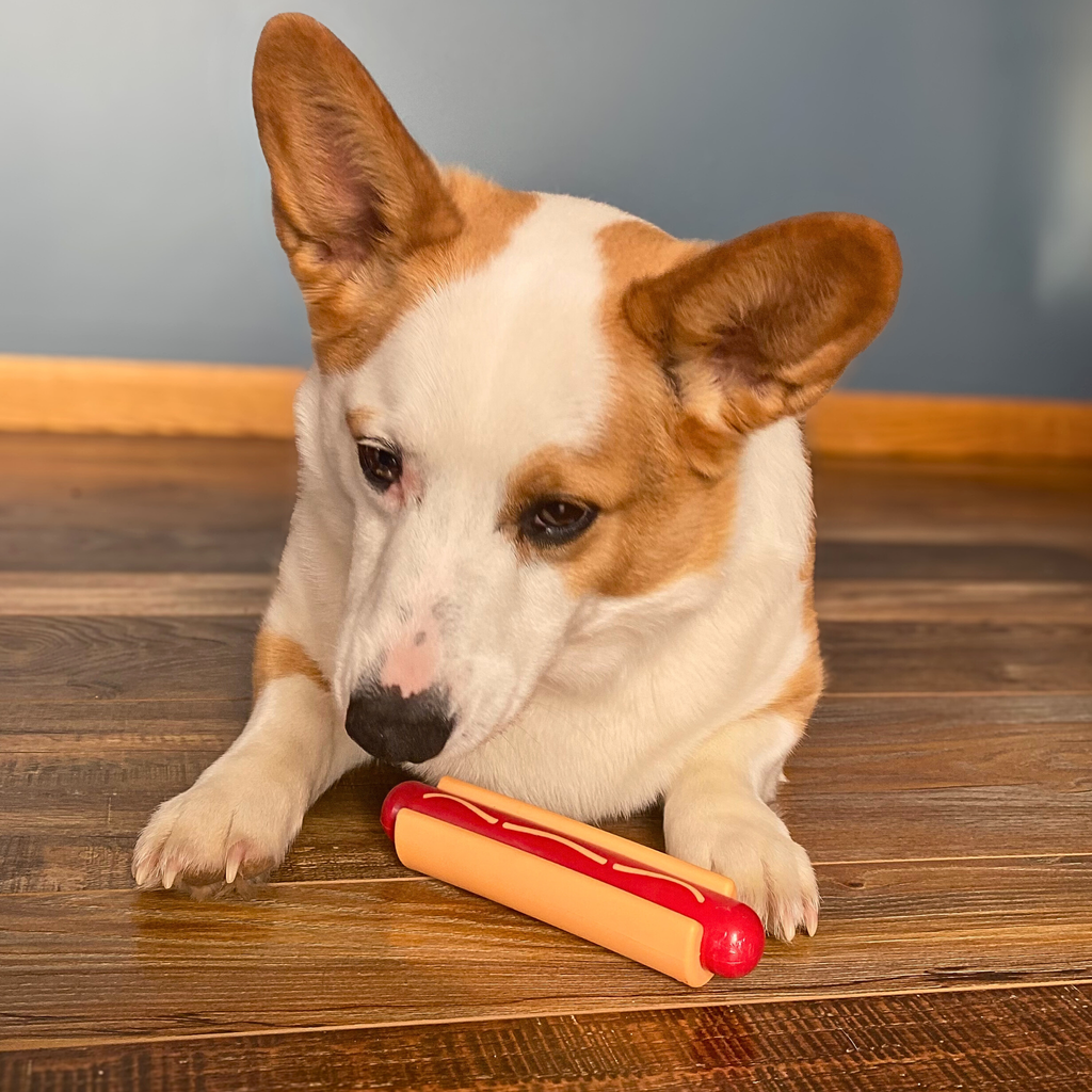 Dog Tug & Chew Toys