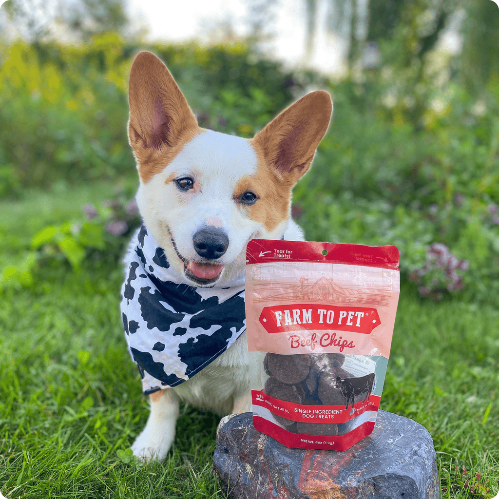 Beef Chips for Dogs