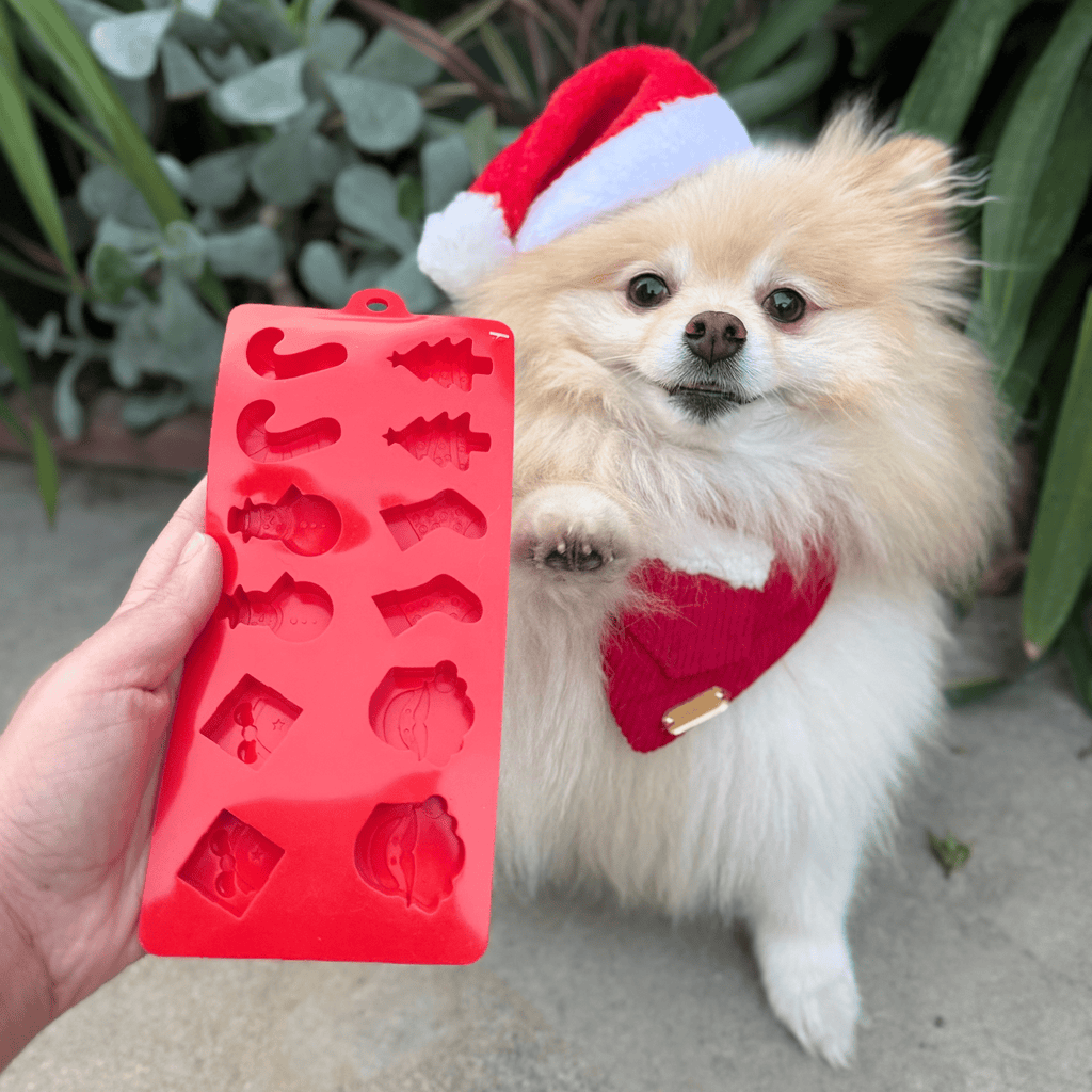 Silicone Pet Treat Molds