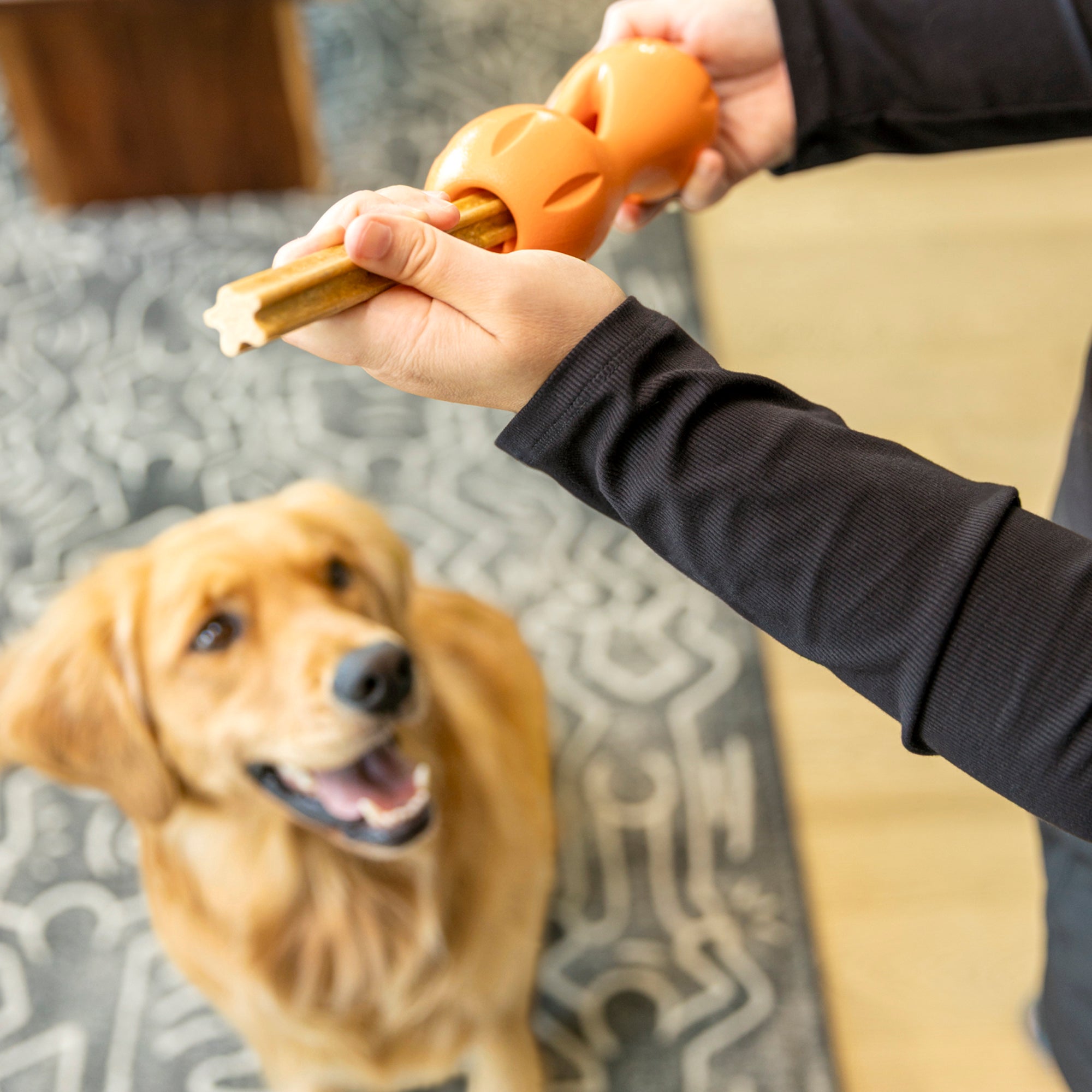 Large Dental Chews for Dogs