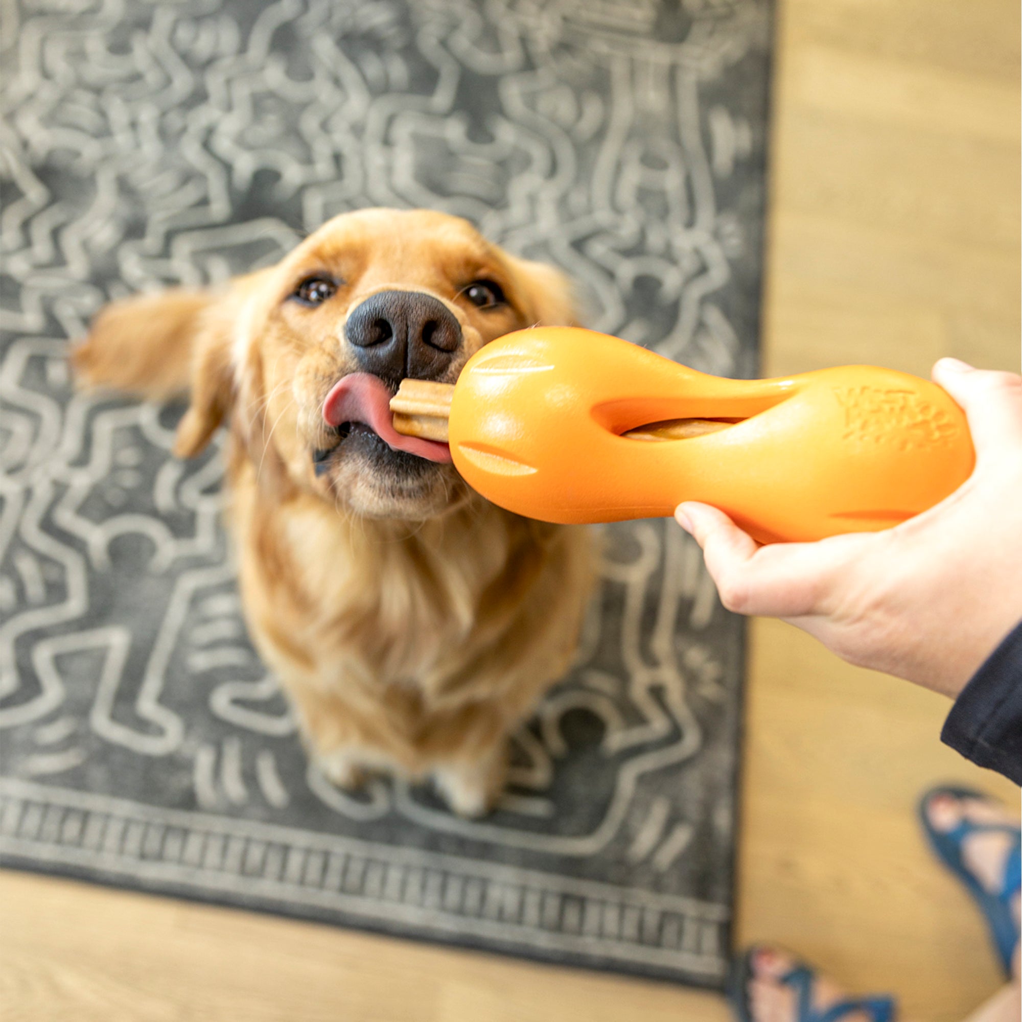 Large Dental Chews for Dogs