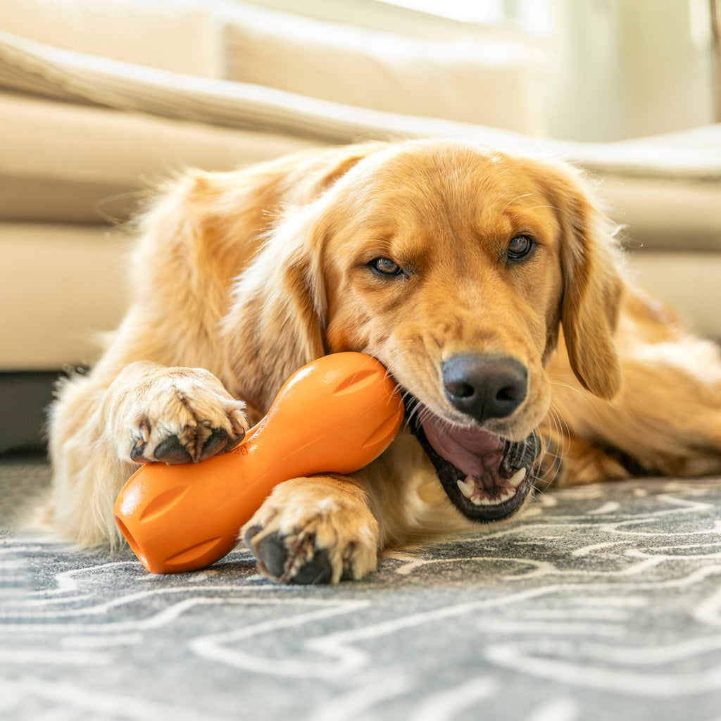 Large Dental Chews for Dogs
