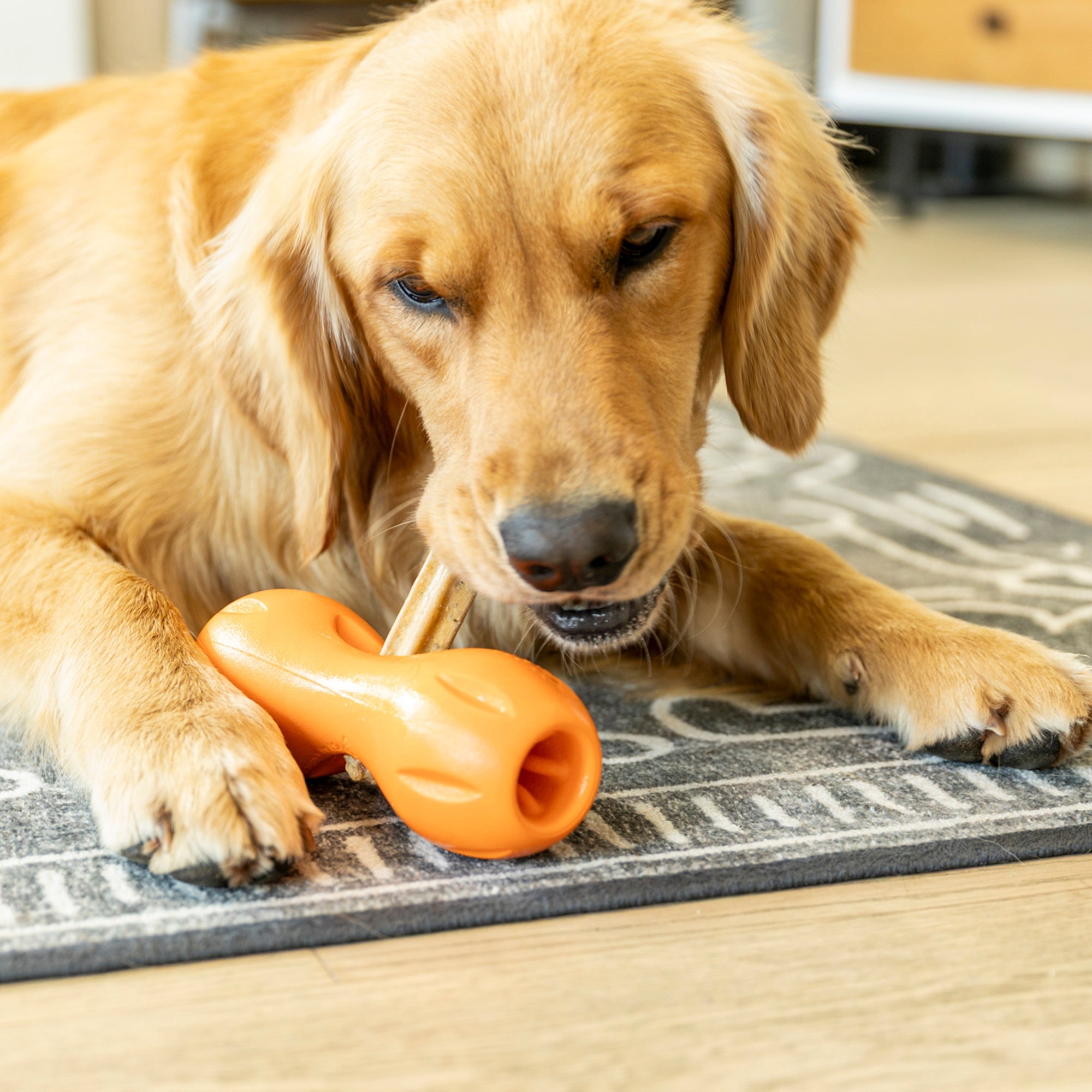 Large Dental Chews for Dogs