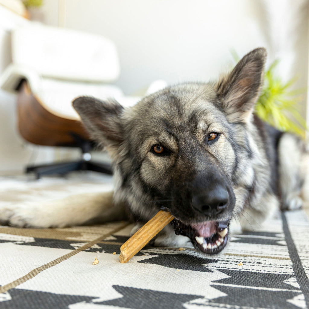 Large Dental Chews for Dogs