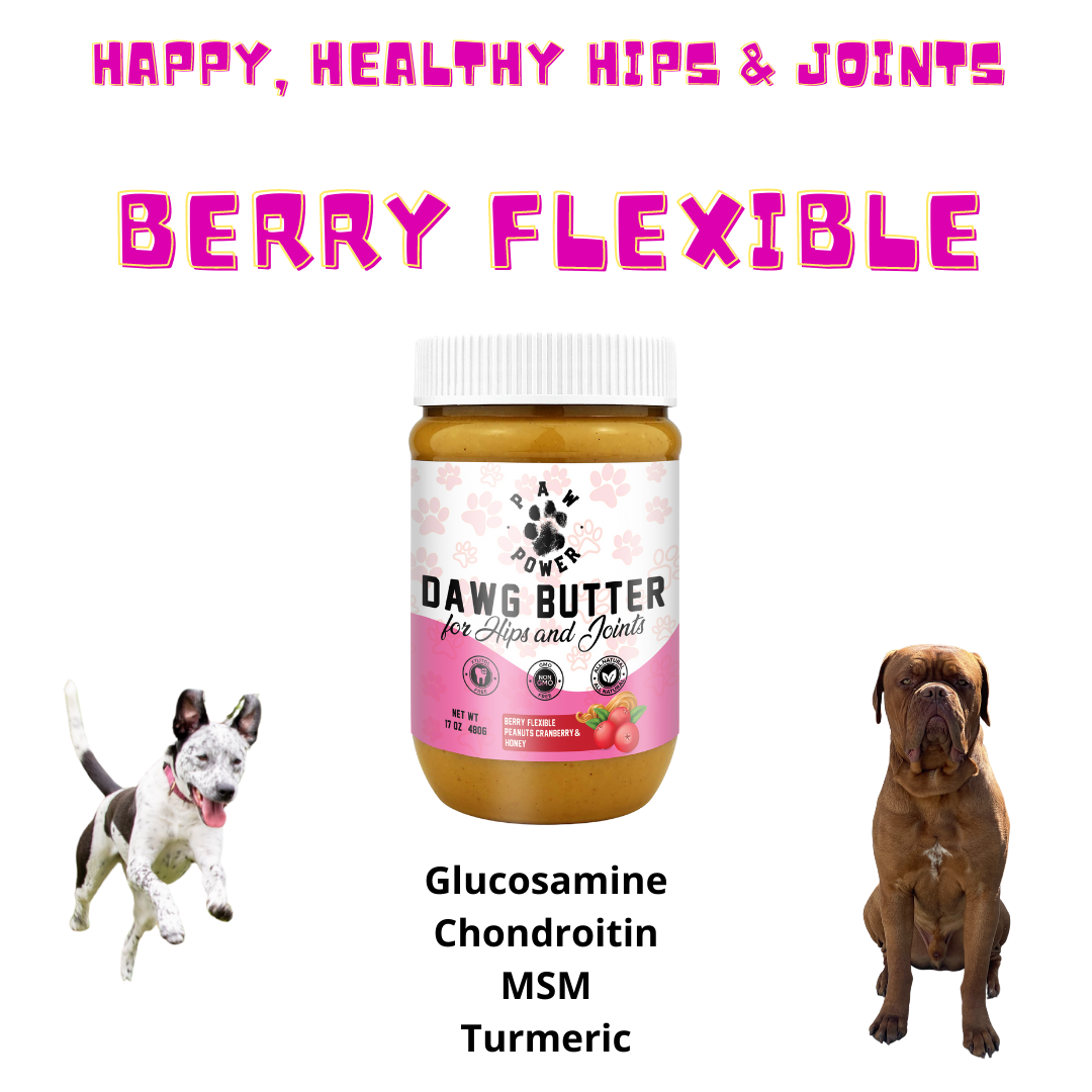 Hip & Joint Peanut Butter for Dogs
