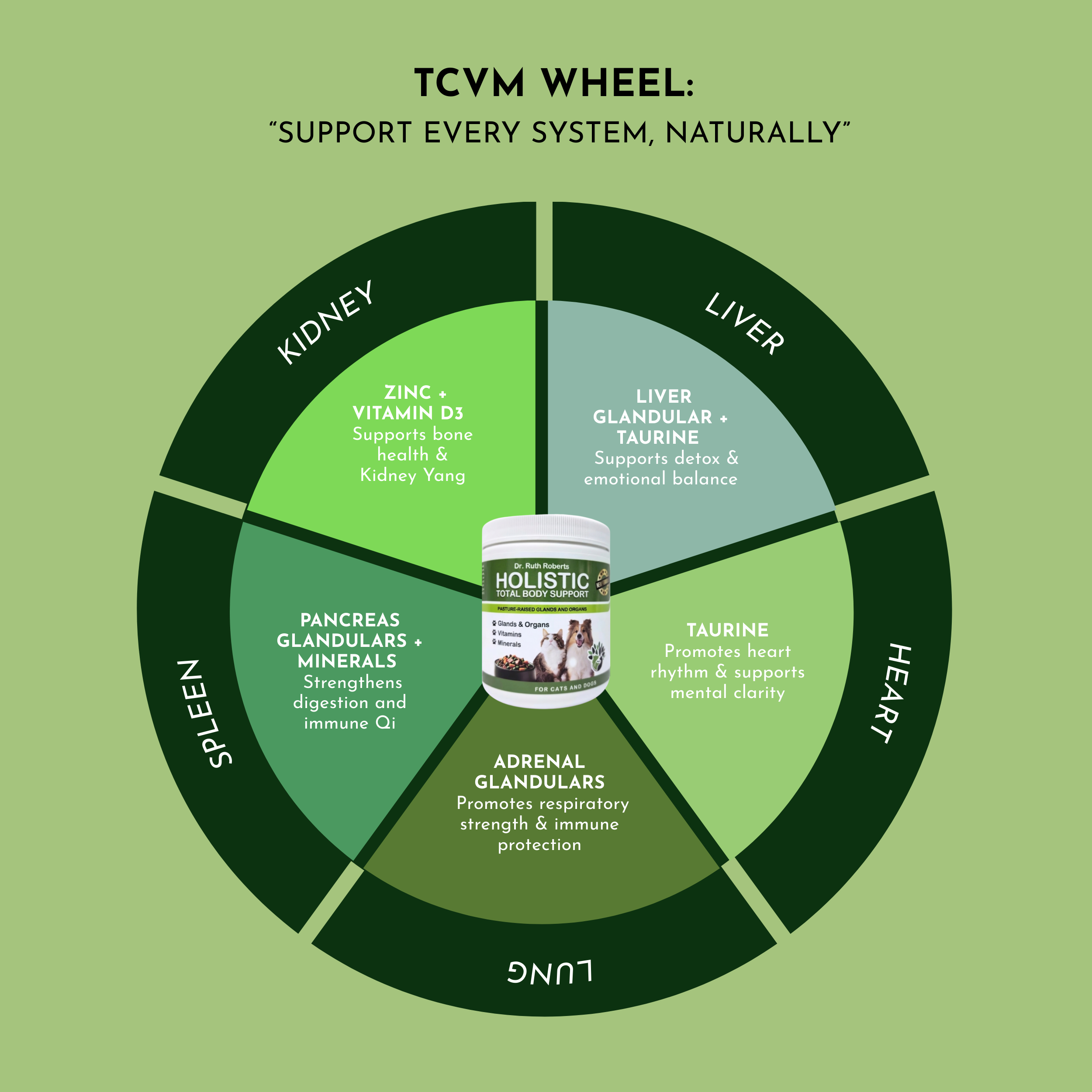 Holistic Daily Multivitamin for Dogs & Cats